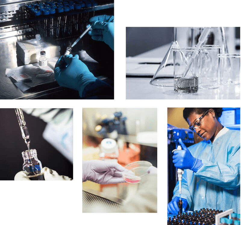 NIMR Foundation Hero Image